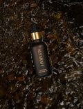 French Lavender Oil - Medical Grade